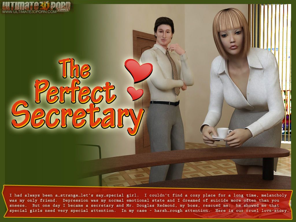 [3d] De Perfect secretaris