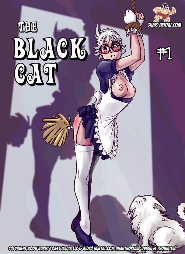 相撲 が、生暖 (sidneymt) の 黒 猫 #1