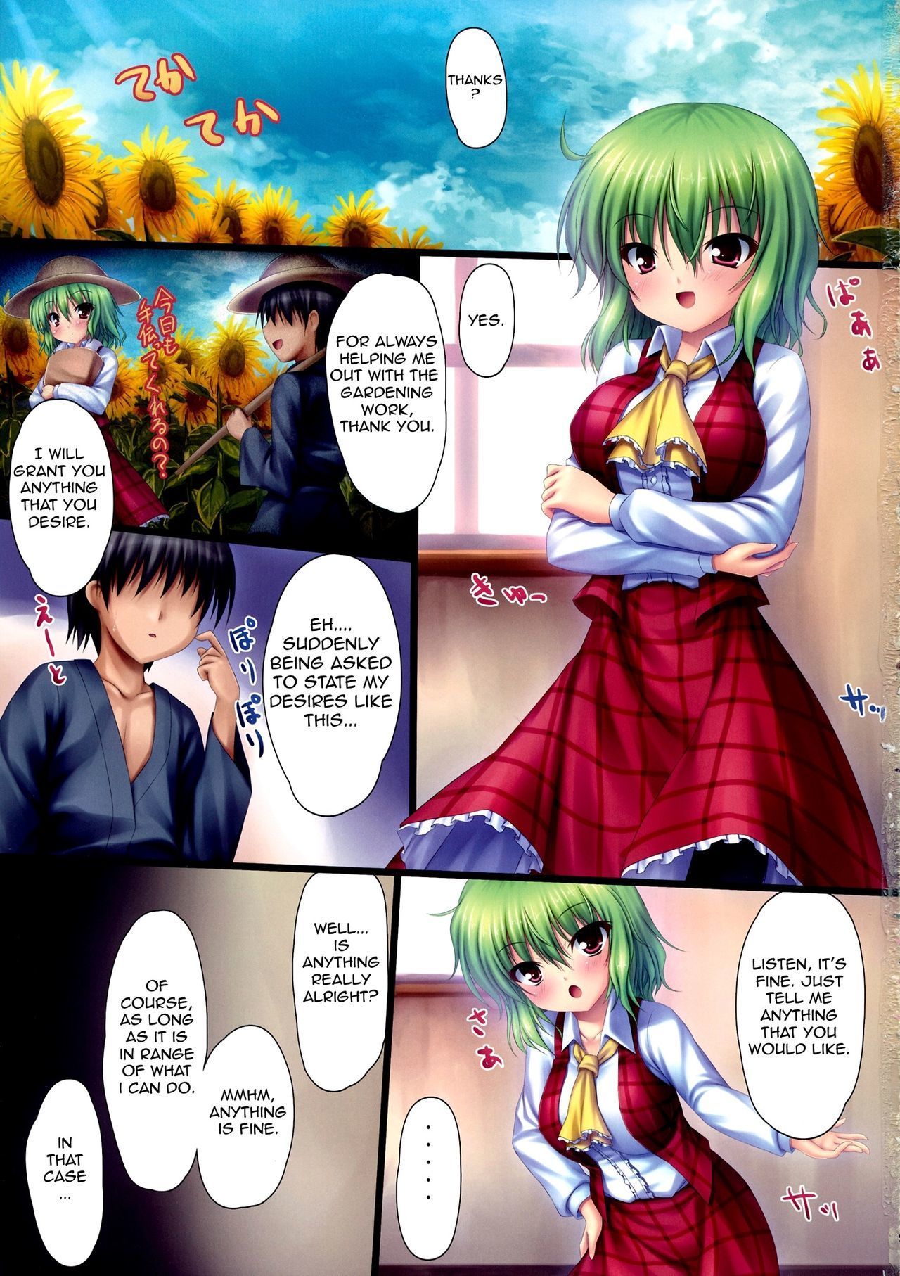(c81) 16000 모든 (takeponian) y (touhou project)