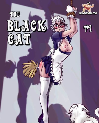 Сумо хентай (sidneymt) В черный Кошка #1 часть 3