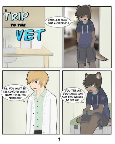 A Trip to the Vet