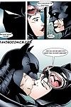 batman thẩm vấn catwoman